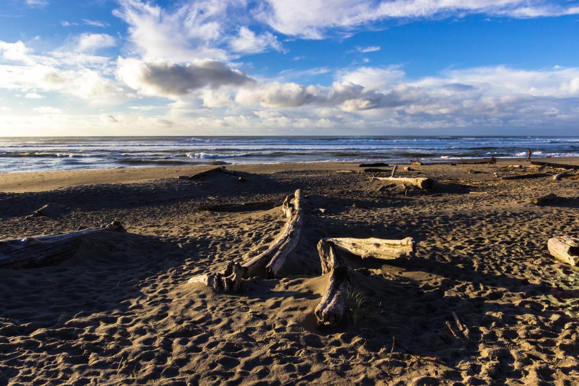 The Whale At Sandstone Point Apartment Lincoln City Cameră foto